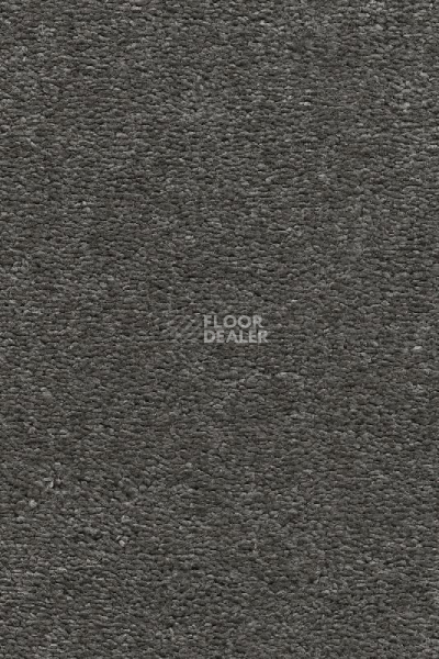 Ковролин AW Invictus Heroicus 97 фото 1 | FLOORDEALER